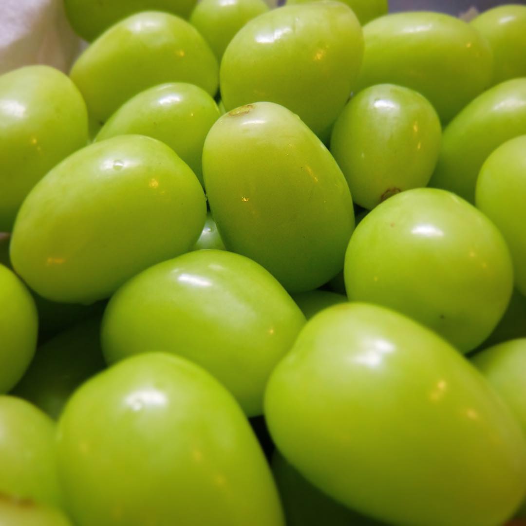 あー、お天気下り坂ですなと水曜日、いやフレッシュでみずみずしいキミドリイロはシャインマスカット！種なしで皮までたべられるから、そのまま白ワインといっしょにミキサーでさっくりスクイーズ！…季節のフルーツカクテル、お見逃しなく！（お）