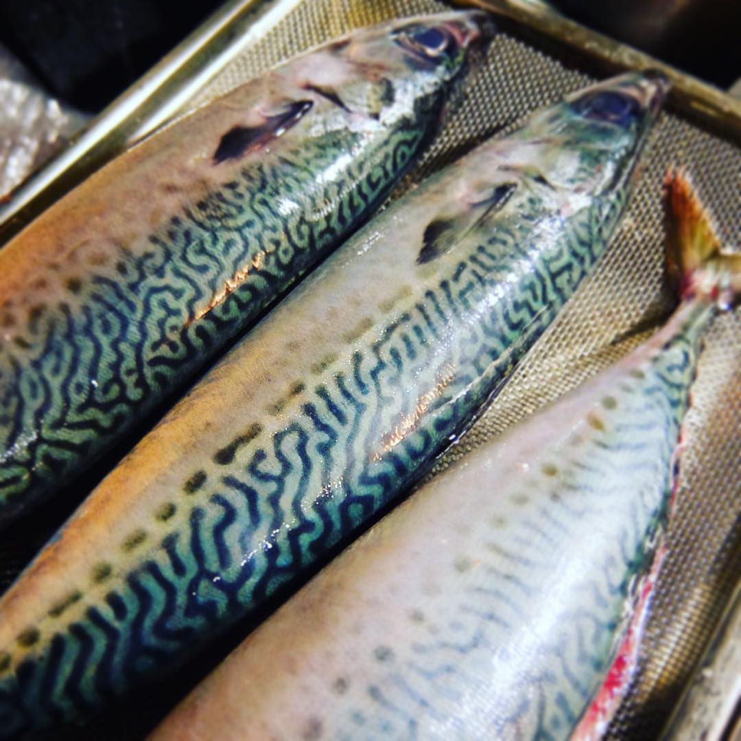 あー、もううち帰って布団の中だけどさと（笑）、いや、明日のランチ、日替わりはサバ！…いや、サバの柄ってカッコいいね！オトコマエだね！（なんとなく…笑）茄子といっしょにごま味噌煮でお出ししますよ！また明日！（お）