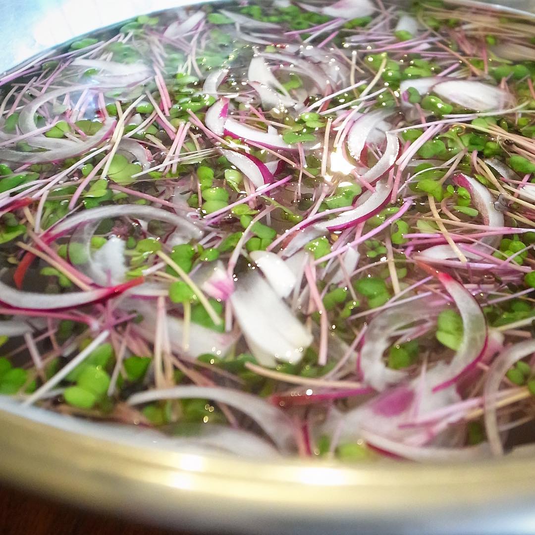 いや、今日は風がなくて蒸し暑く感じられますねと、なんでなんとなくひんやりした画像でも（笑）。しかし金曜日…今夜は大してご予約もなくと（苦笑）、みなさん遠慮なくご来店どうぞ！（笑）（お）