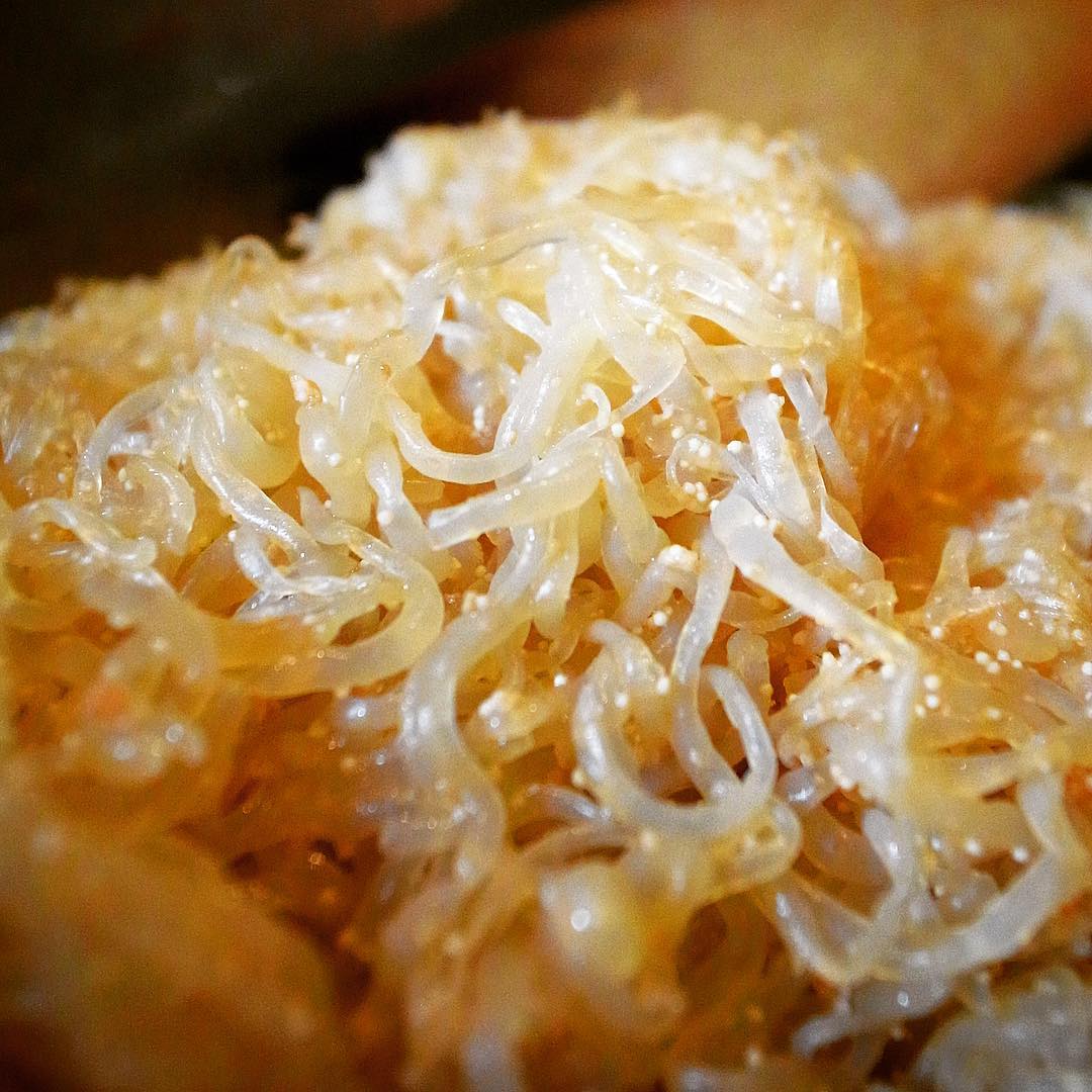 いくらokayanが好きでも（そして通風には毒であっても！）これはあんまり地味で写真に撮っても仕方ないと思うよと店長ミヤザキには言われましたけど、本日の小さなオススメは「しらたきと明太子の炒め煮」！たべたことある方はこの写真で十分伝わるはずですよね！ね！？（笑）（お）