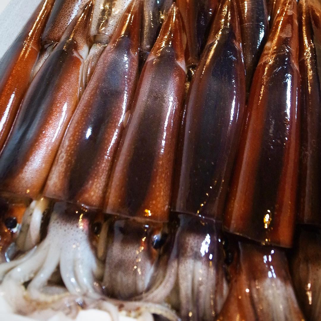 イカ大王様だー！じゃなくて、ピカピカ立派なスルメイカだー！今週もイカワタチャーハンはひとまず安泰だー！みんないそいそたべに来てくれよなー！（笑）（お）