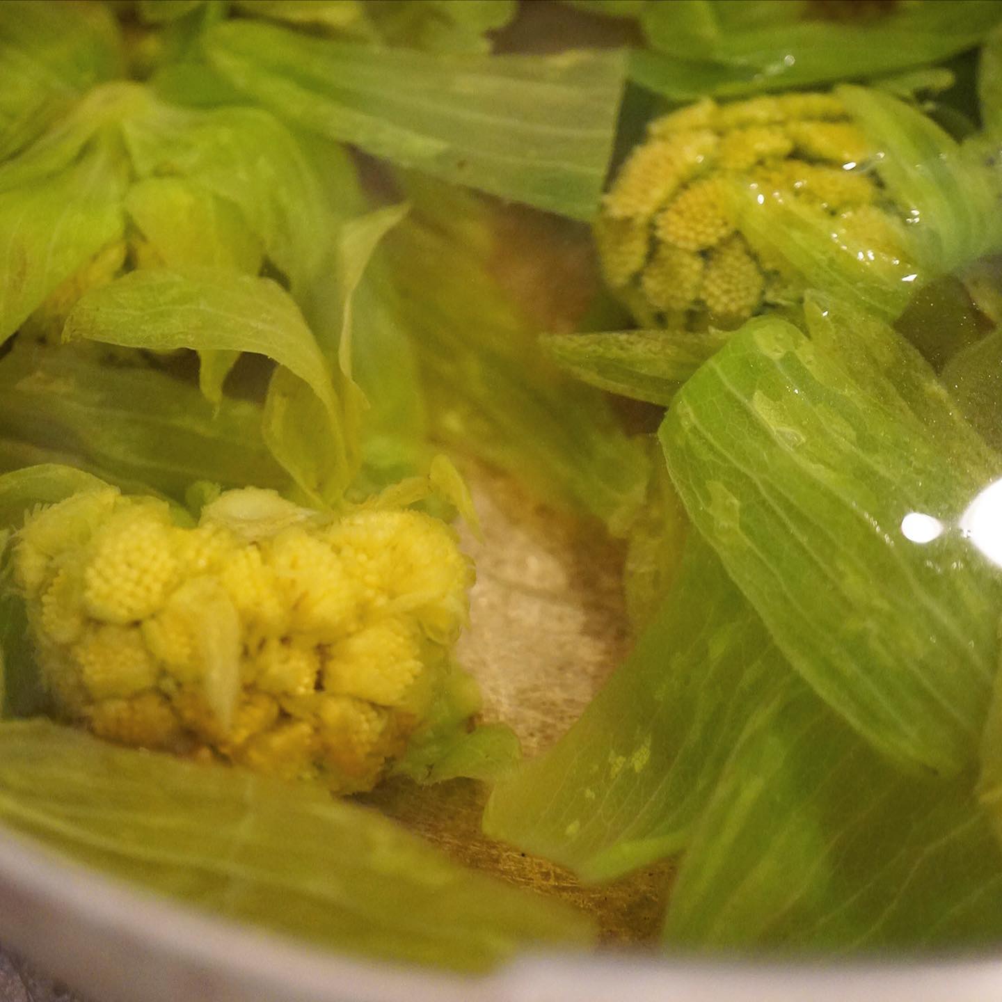 さてと春のおいしさはたけのこだけじゃないよ！と「ふきのとう入り！春のコロッケ」！と、まずはそのふきのとう、さっくり茹でたらそのままアク抜き…って、緑色の金魚みたいで綺麗だったんですが（笑）、ほっくり蒸したじゃがいもをえいやえいやとつぶしたら、さっきのふきのとうをぎゅっと絞ってみじんに切ったら、さっきのじゃがいもに合わせます。この時点でたべると、ほんのりふきのとうの苦味が香る素朴なポテトサラダって感じでなかなかイケます！（笑）
ころころ一口サイズに成形したら、ぐらが粉をまぶしながら「スノーボールみたい〜！」と（笑）。
さらにパン粉をつけてからりと揚げたて「ふきのとう入り！春のコロッケ」！の出来上がりっ！…さらに自家製ふき味噌でダブルパンチのおいしさです！
もちろんお持ち帰りもオッケーよ！（お）