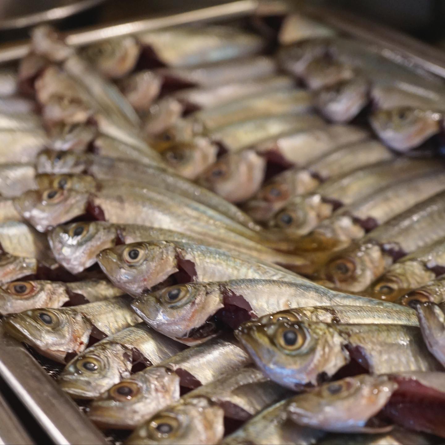 南蛮漬けの基本は、小アジでしょ！というわけで今週は小アジの南蛮漬けです。低温でまずはゆっくり揚げて骨まで柔らかく火を通し、二度揚げは高めの温度でカリッと揚げて、南蛮タレに漬け込みます。頭から丸ごとパクリといけるところが良いところ。母は「小アジを見つけたら買わないといけない決まりになっている」と言いながら作っていました。昔から食べていたはずなのに、高校生くらいの時に突然「これ、めちゃくちゃ美味しいんじゃないか！？」と目覚めて以来、母の料理ベスト10に入っている思い出の味です。