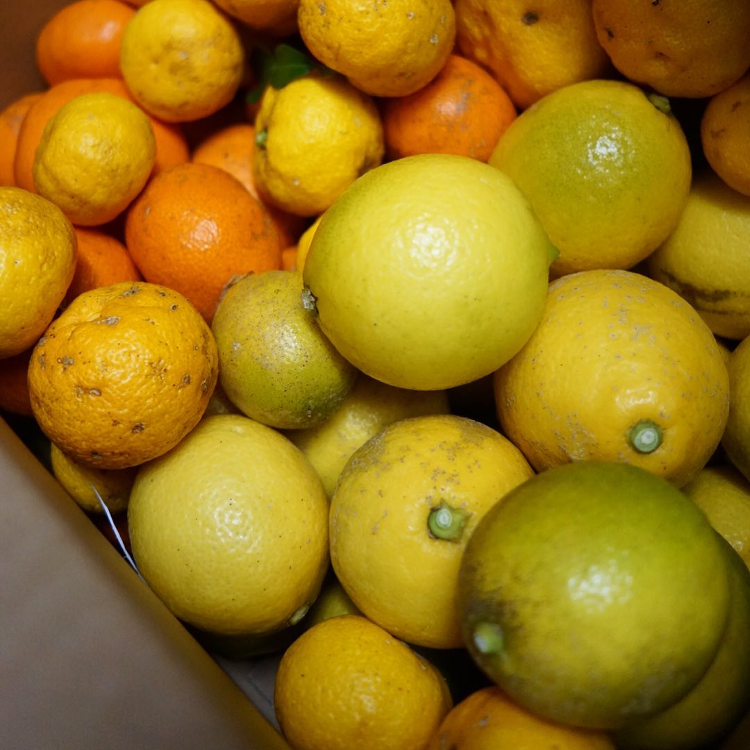 先日届いた高知は森田農園直送便、ヒトハコには柑橘がいっぱい！と年末歳末この季節、ビタミンカラーで元気が出るね！エイヤと出すね！（苦笑）（お）