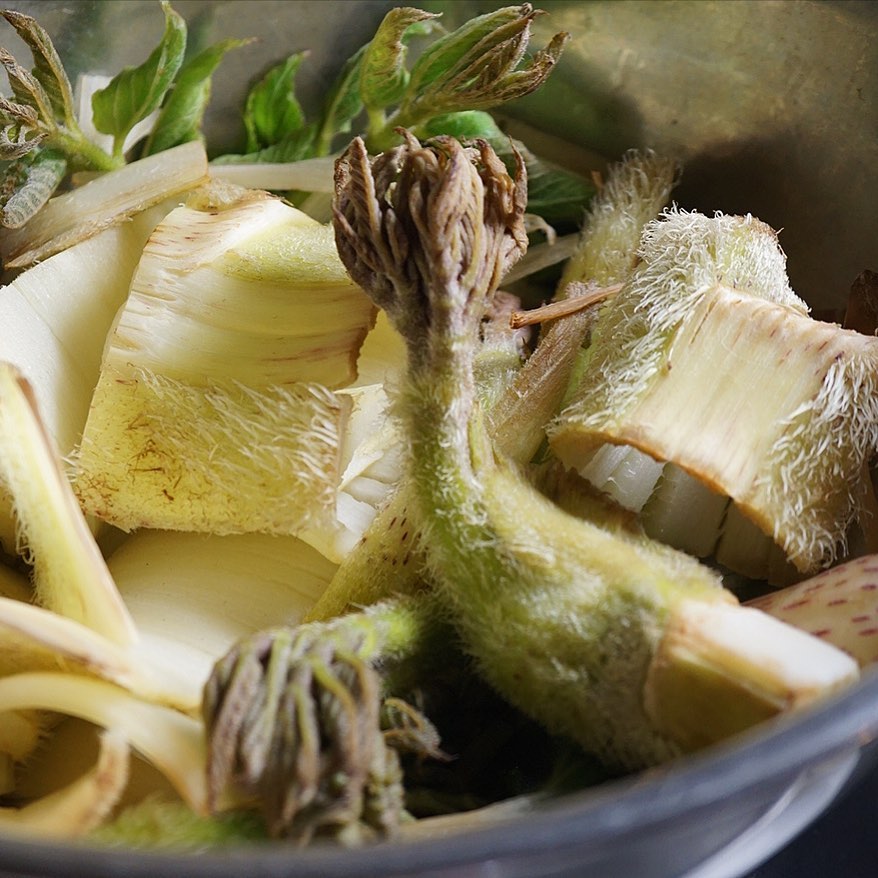 さらに春は山菜の季節っ！店内って山うどの穂先と皮が集められたボウルは、いや、なんだかこれはちょっとよくよく見るとちょっとオソロシゲだねぇと（苦笑）、サクサク刻んで豚肉と合わせて小さなメニューは塩きんぴらでお出ししますよ！（笑）（お）