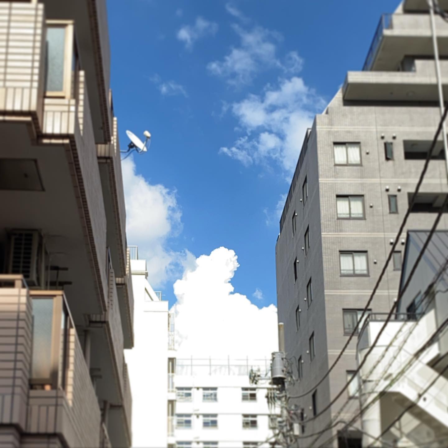 あぁ、夏はもう目の前っ！（お）