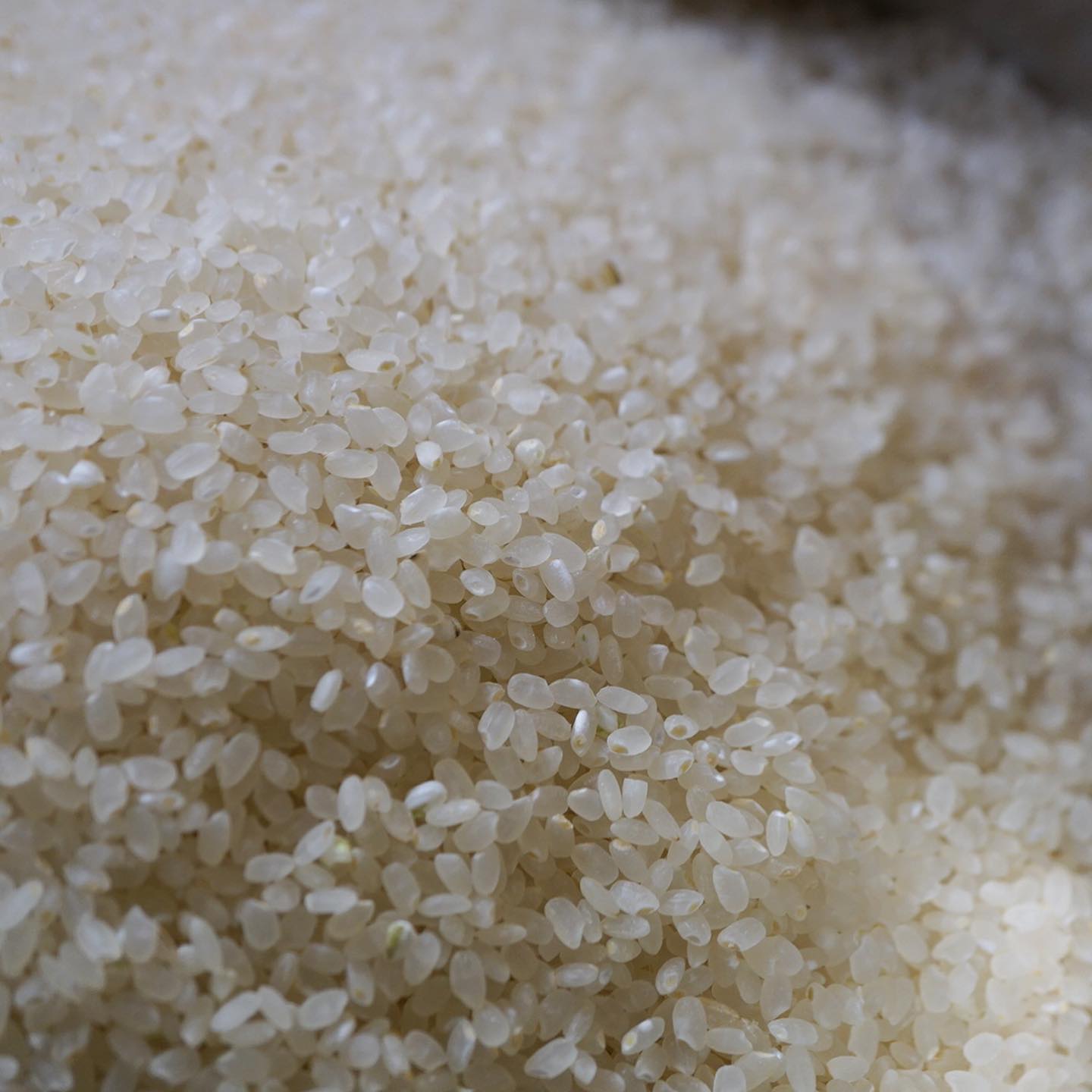 さてといよいよこの秋当店ごはんは新米だよー！とワタクシ地元は山口のおいしいお米！ぴかぴかつやつやごはんだよー！…って、ワタクシが一番うれしかったりして（笑）（お）