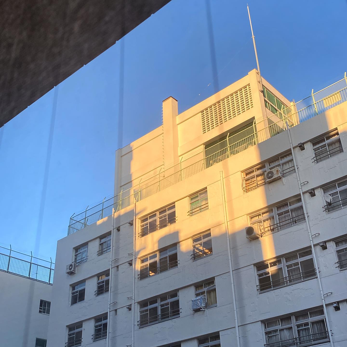 秋の日は釣瓶落としと、午後4時になったばかりもすっかり完璧な夕方だよ〜と…ま、しかしすてきな秋晴れ続いてなにより（お）