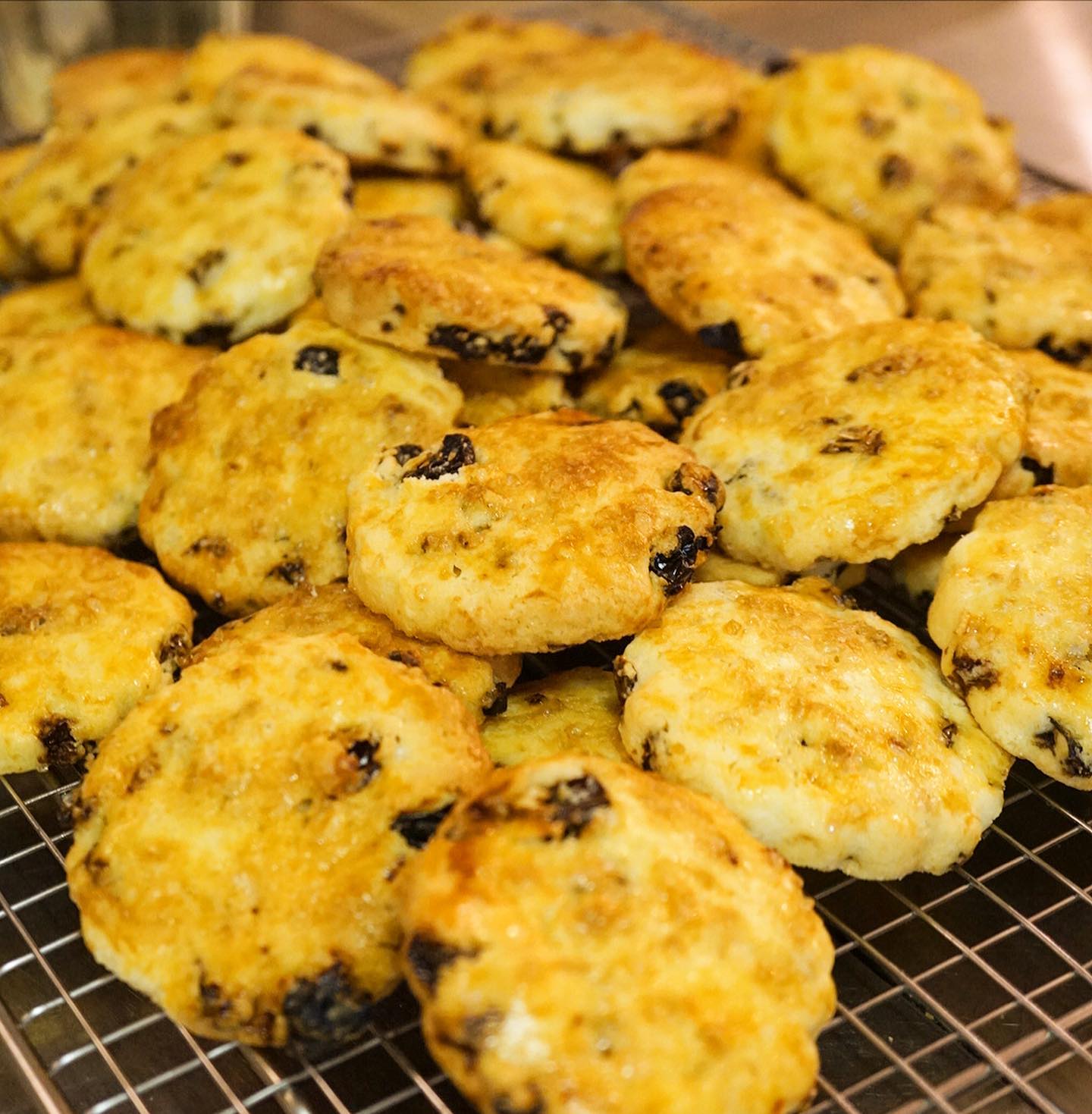 前の定休日は店長ミヤザキ、しこたま作ったったぞー！と豪語しておりました「レーズンビスケット」はやっぱりアレヨアレヨとお買い上げ御礼！と、昨夜閉店後にまたせっせと仕込んで今週は最後の営業日曜日、在庫潤沢ですよー！よろしくですよー！（笑）（お）