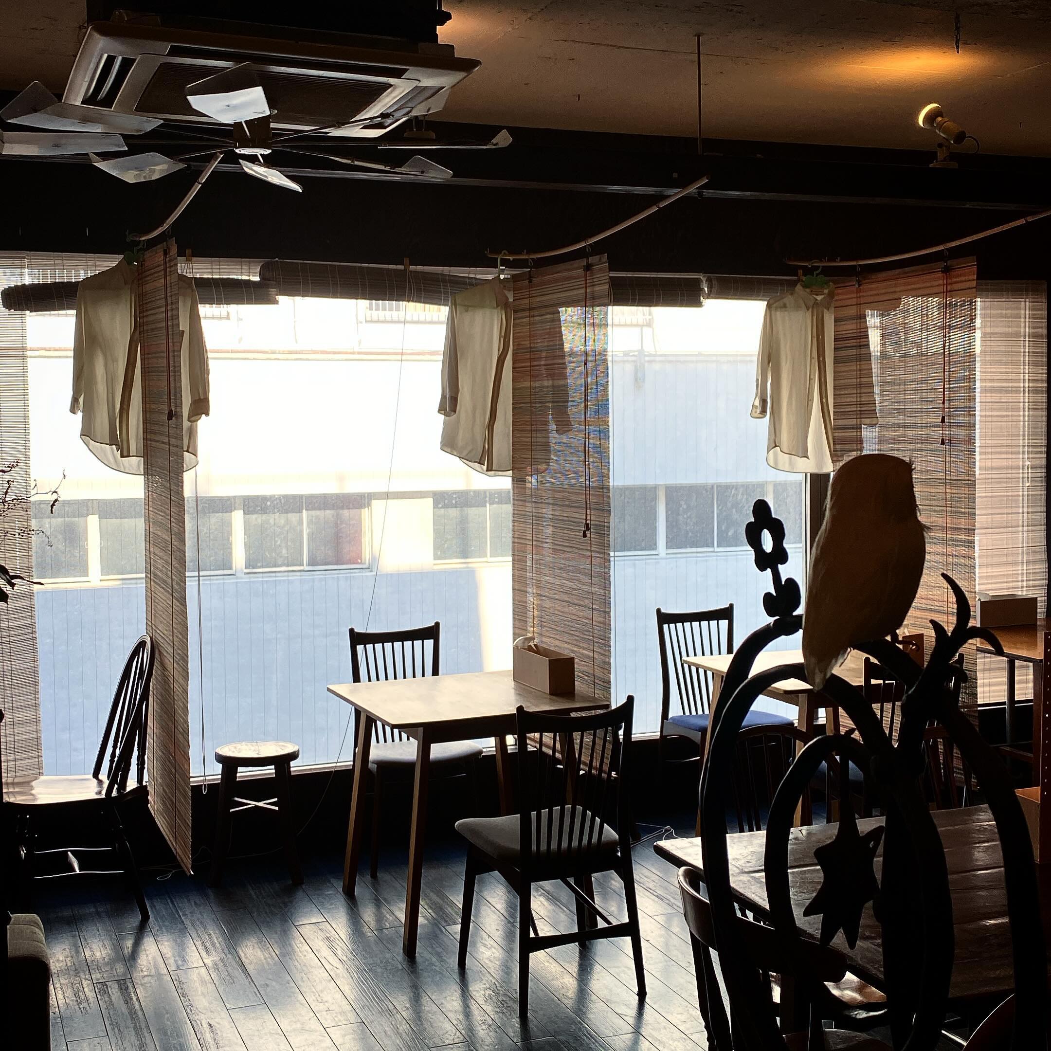 さてと金曜日の午後は窓際に3枚の制服を干してるのは、朝裏のコインランドリーに持って行き忘れたからです、ハイ（笑…乾くかねぇ？）。
しかし金曜日は東京三鷹も今季初の真夏日達成！で、しかし夜は今夜も大してご予約もなく（苦笑）、よろしかったらぜひぜひご来店どうぞ〜（お）