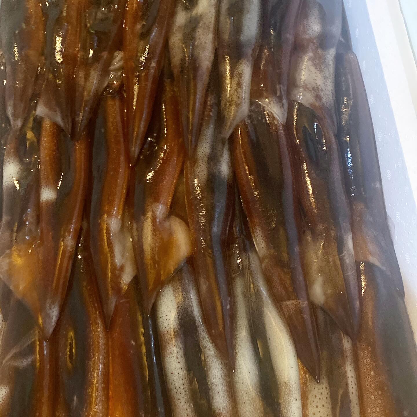 これなーんだ！？　はい、みんな大好きスルメイカですね〜豊洲から直送でスルメイカが大量に入荷しましたよ！
とあうことは、そうです、今週はイカワタチャーハン、あります！　台風はそんなに影響無さそうだし、リトスタでチャーハン、良いんじゃないでしょうか？
土曜日は予約が混み始めておりますが、日曜日はガラッガラです（苦笑）　とはいえ日曜日は当日予約がとても多い日なので油断せずお電話をお待ちしております！（麻）