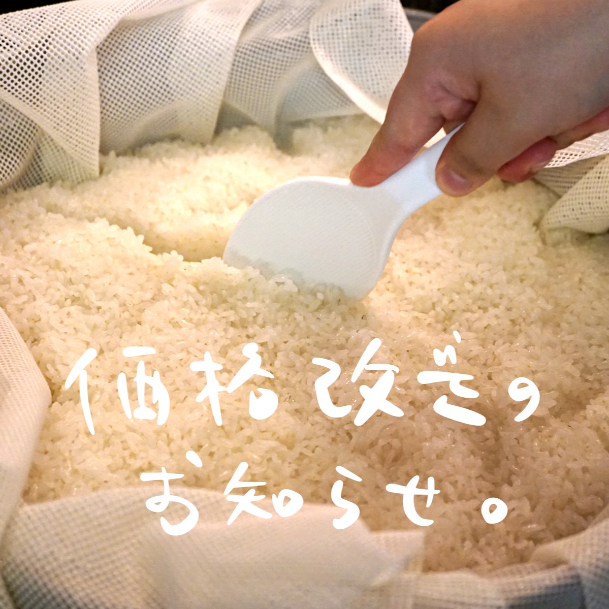 価格改定のお知らせ

いつもリトルスターレストランをご利用いただきありがとうございます。
当店では、お客様にご提供する料理のおいしさや安全性、品質を落とすことなく価格を維持するべく、仕入れの見直しや業務効率化などに努めました。しかしこの度、物価高による仕入れ値の高騰や、人件費の上昇により、現行価格でのご提供が困難となりました。特に、お米の価格は今年の新米から、昨年の1.5倍以上の仕入れ値となることが決まっております（当店は農家さんより直接お米をいただいております）。
つきましては、大変心苦しいお知らせではございますが、一部メニューの価格を改定させていただきます。

価格改定後も、お客様にご満足いただける品質の料理やサービスを提供できるよう精進してまいりますので、今後ともリトルスターレストランに変わらぬご愛顧を賜りますよう、よろしくお願い申し上げます。

リトルスターレストラン　
店長　宮崎麻美