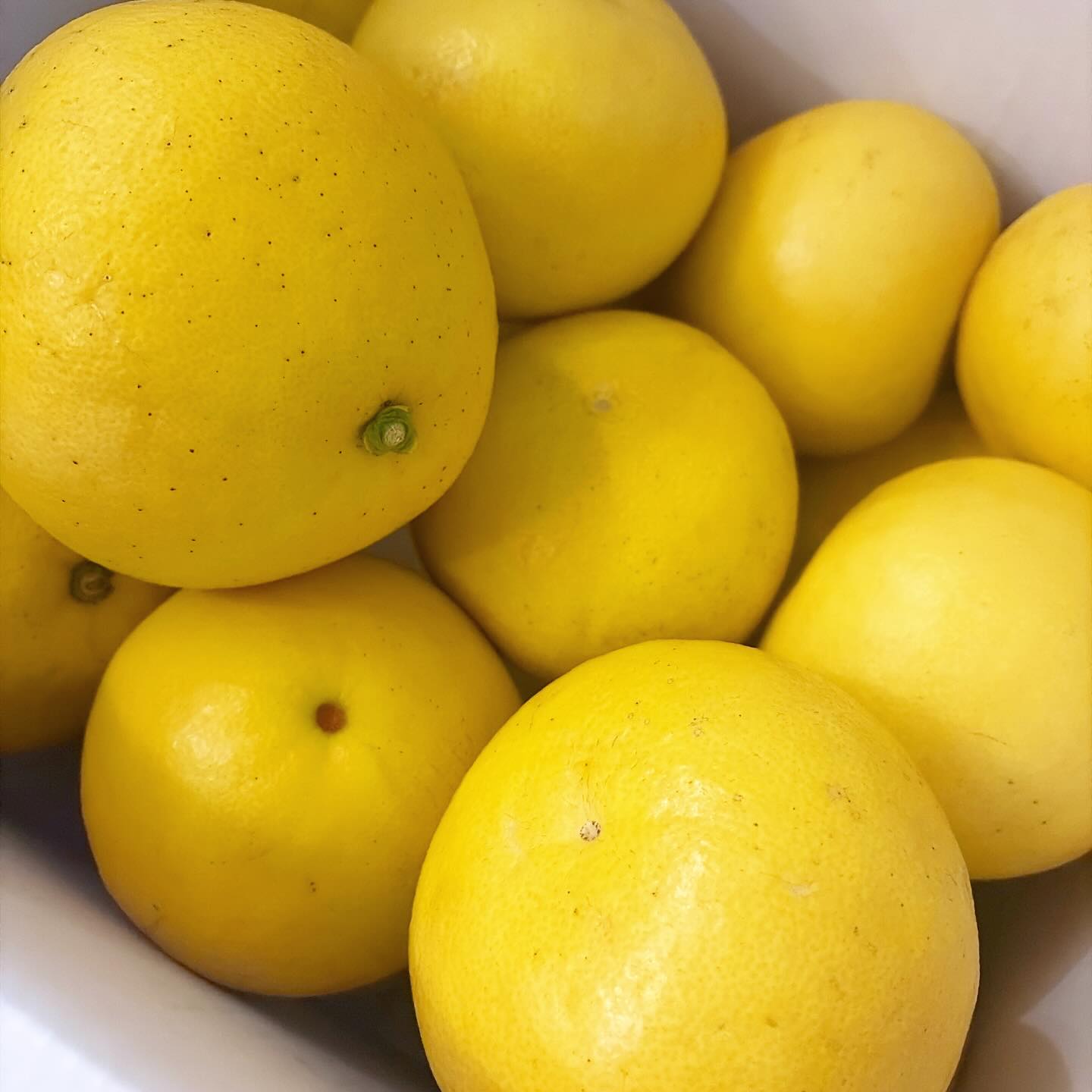 大好き文旦！
元キッチンスタッフで、今は故郷の高知でかき氷屋キイロ（カレー屋さんだったけど最近はかき氷屋さんなのです）をやっているクボさんから、毎年恒例季節のお便りとして、文旦が届くのです！ありがとうクボさん！今年も覚えていてくれて
高知は片山農園さんの美味しい文旦、今年もまずはサラダでご用意します。ぜひこの美味しさを分かち合いたいです♪（麻）