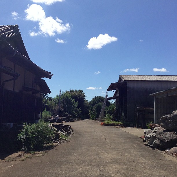 いっつも、あの向こうに海がある気がする。