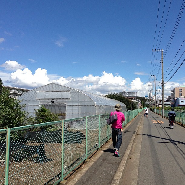 いい雲。畑の中の通勤路。