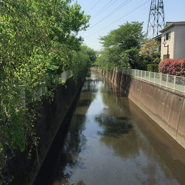 杉並にきていますよ。