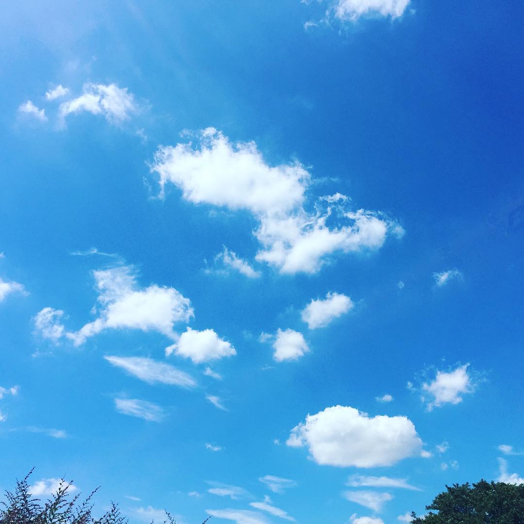 夏のこどもたちが遊んだあとの空。
肉眼で見た方がもっと面白かったのに〜