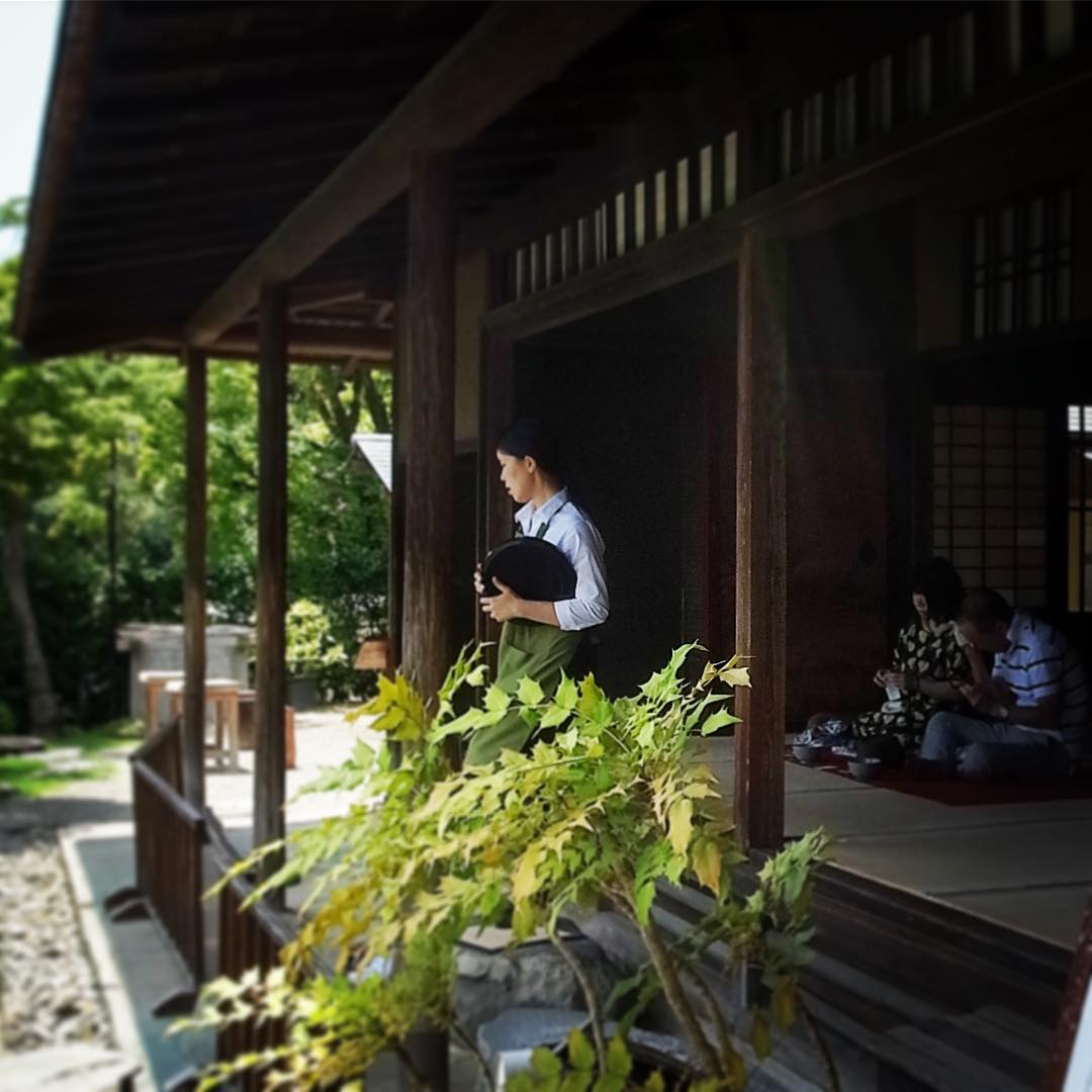 園内では抹茶をいただくことも出来ますし、昔ながらのかき氷、さらには鯉や鳩にエサをあげることも出来ますが…あー、なんにもしなかった（笑）（お）