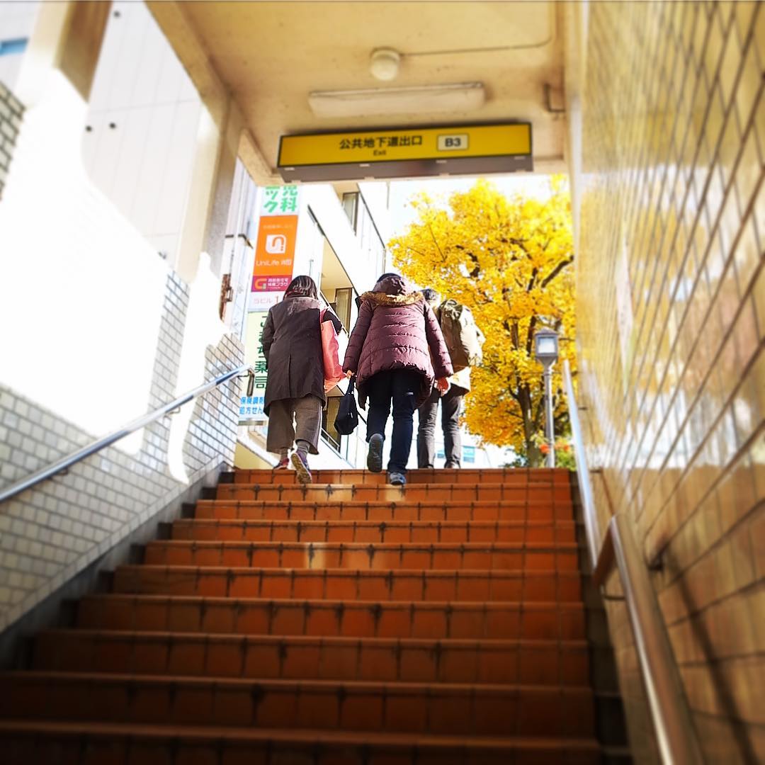 東京よりも紅葉もぐっと進んでおりますね！きれい！（お）