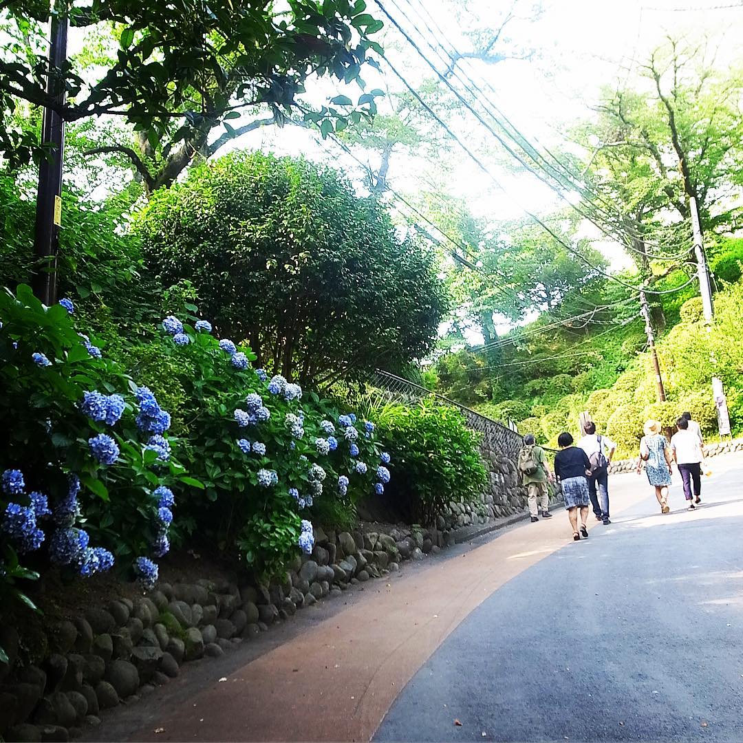 お城の坂を上ってぼちぼち駅に戻ります（お）