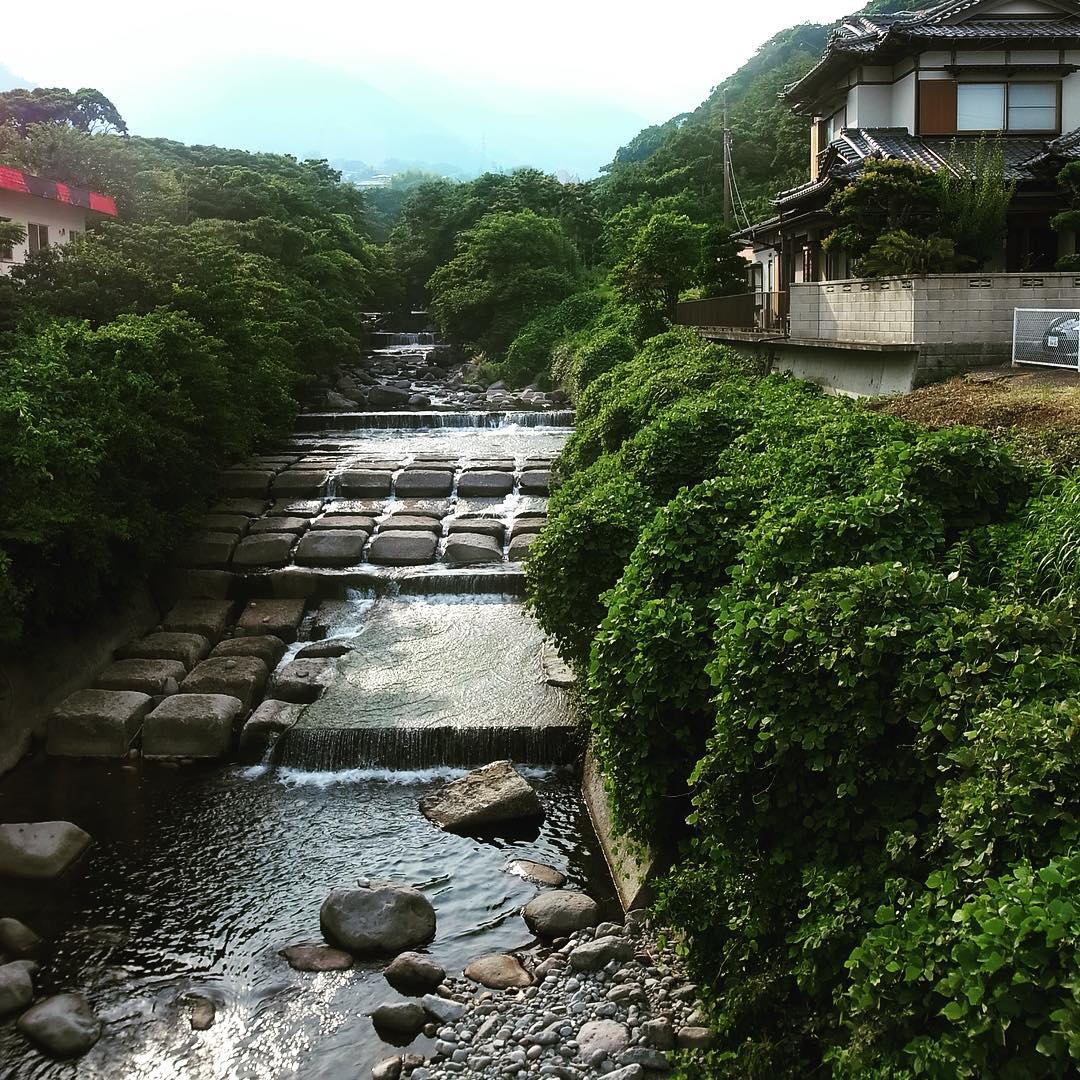 海もいいけど川が実に涼しげで楽しそう…（お）