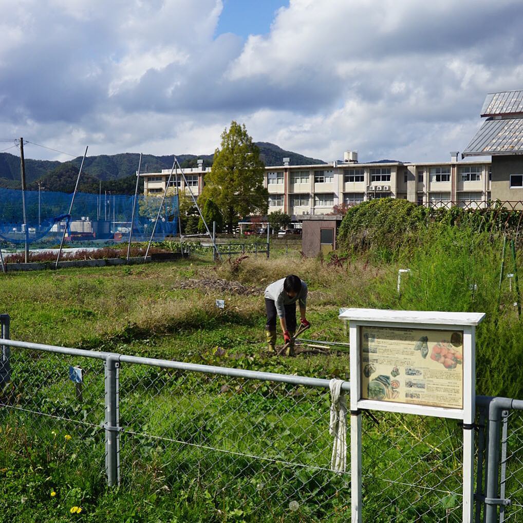 さてと腹ごしらえもすんだし、今回の帰省はメインイベント！？は芋掘り！（笑）うちのおかんが借りている旧徳佐高校脇の畑に参上！（笑）（お）