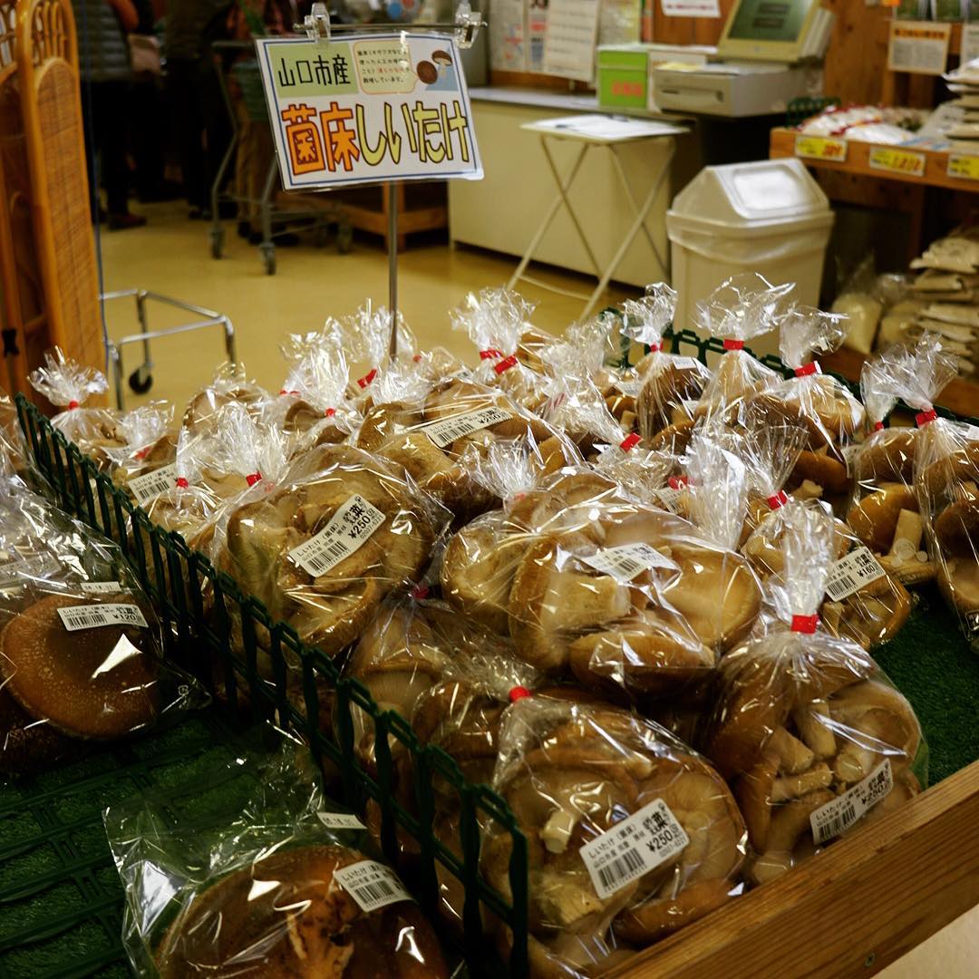 新山口駅近くの産地直送市場は「ぶちええ菜」におかんの椎茸を納品するついでに寄る…めずらしく小さなパックの牛乳など買ってみたりして、これが思いがけずうまい！（笑）（お）