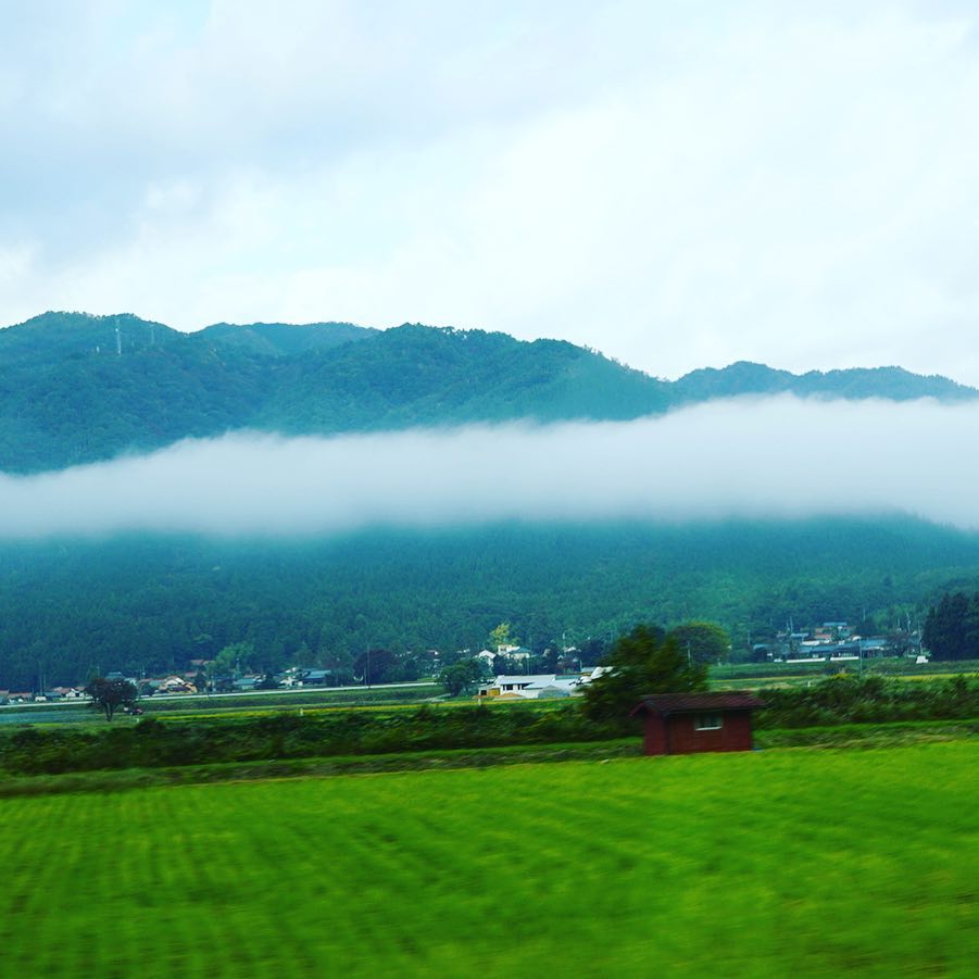 朝靄の層がキレイに流れてる！（麻）