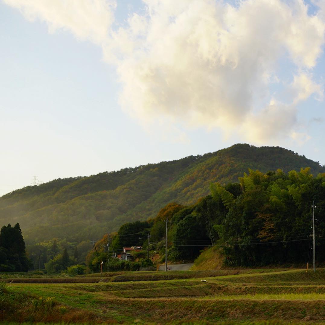 山口市街地に比べて、やはりこの辺は寒い…紅葉もすすんでいるようですね（麻）