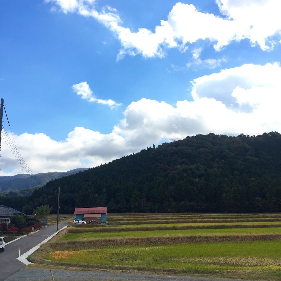 はい、そしてこれが今撮りました、okayan実家ベランダからの風景。私はこの景色が大好きだな。この道を歩いていくと、okayan3兄弟が遊びまくっていた裏山とため池があるのです。（麻）