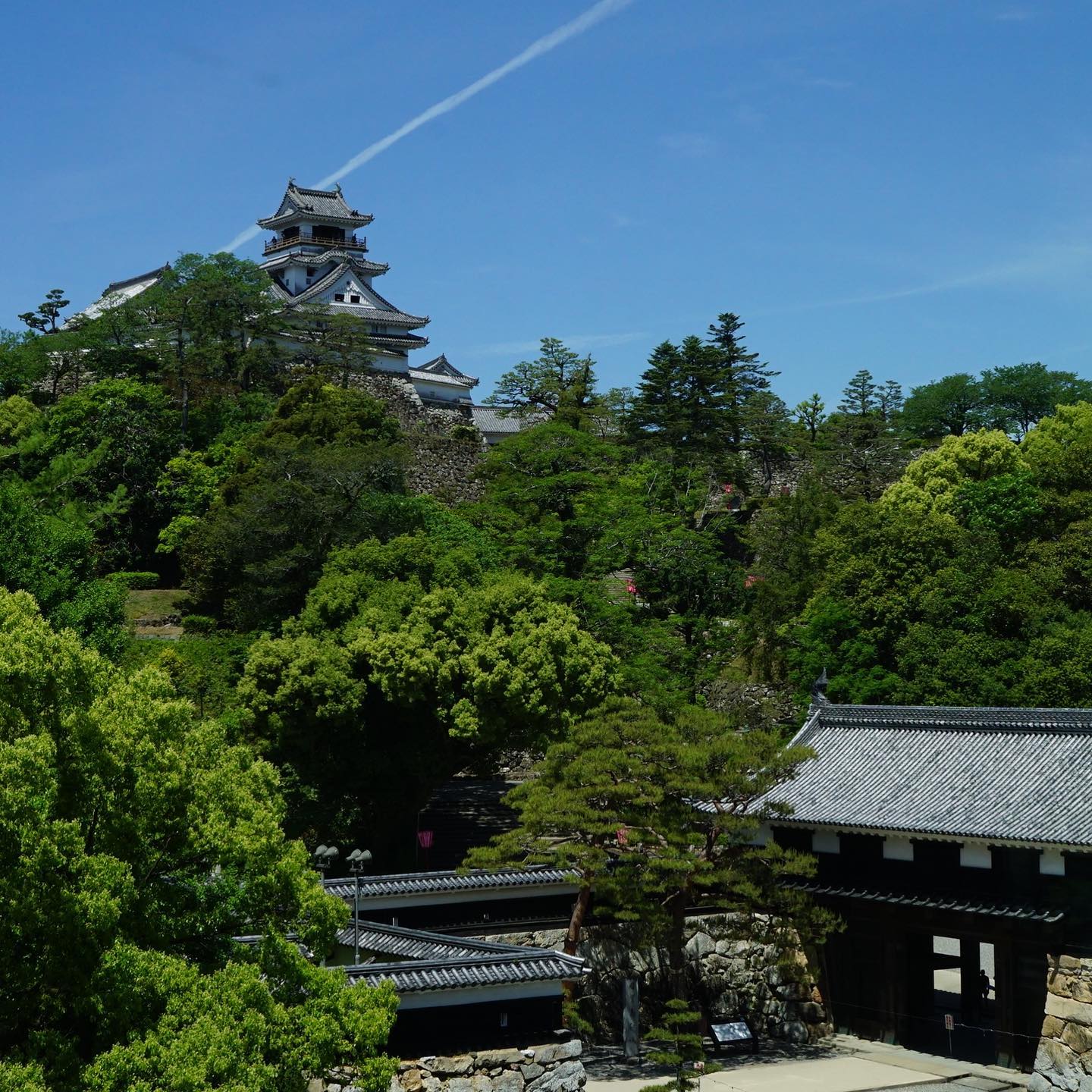 ちなみに、高知城歴史博物館からの、高知城の眺め、絶景ポイントじゃないですか？ここでしばらくボーッとしてられるわー（麻）