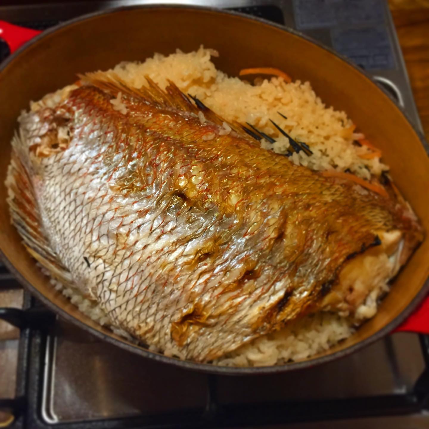 心の師匠からの、活き締め天然鯛、鍋から溢れ出そうな大きさ。鯛飯にしたので、明日スタッフに振る舞います。