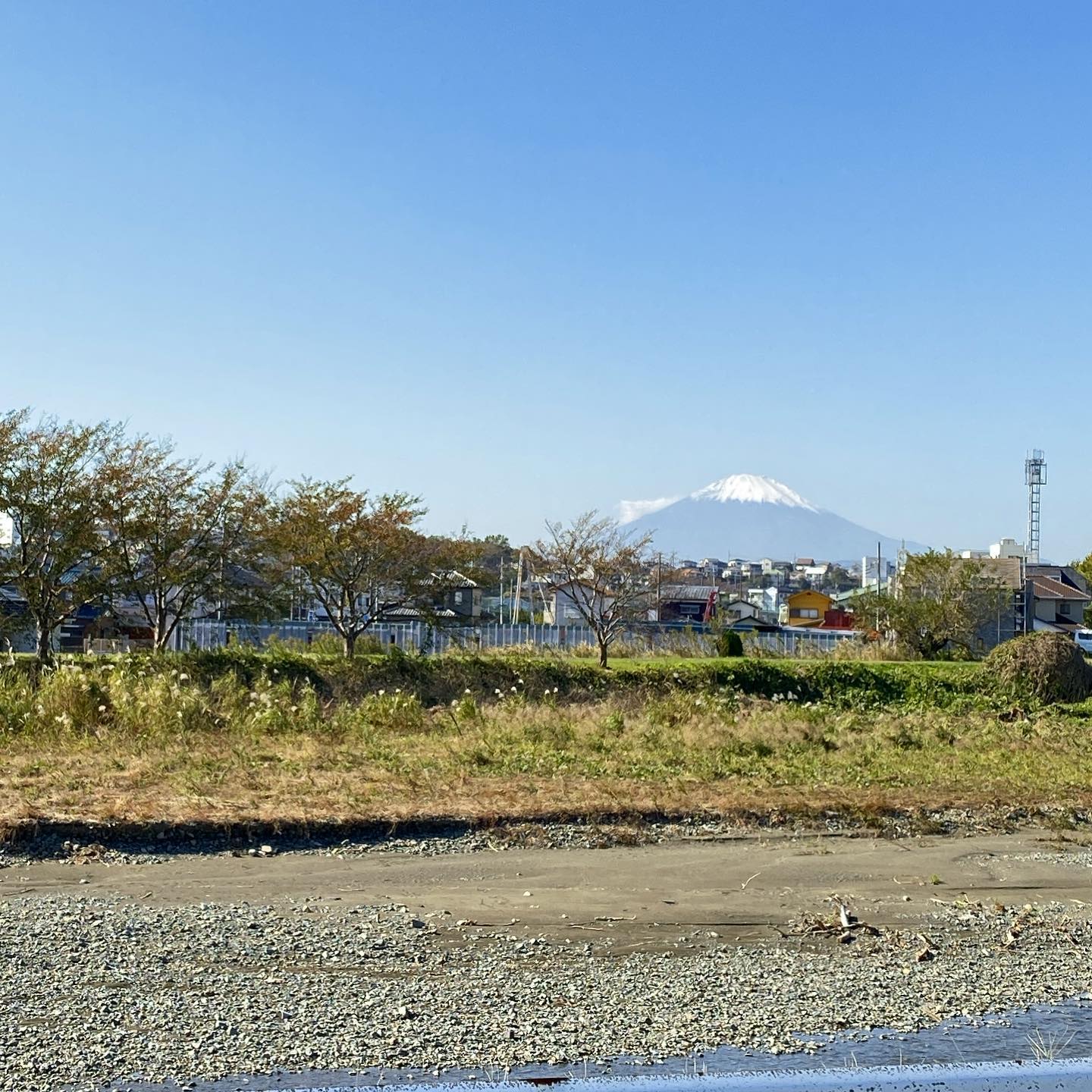 さて、大磯2日目、富士山ぴっかり！