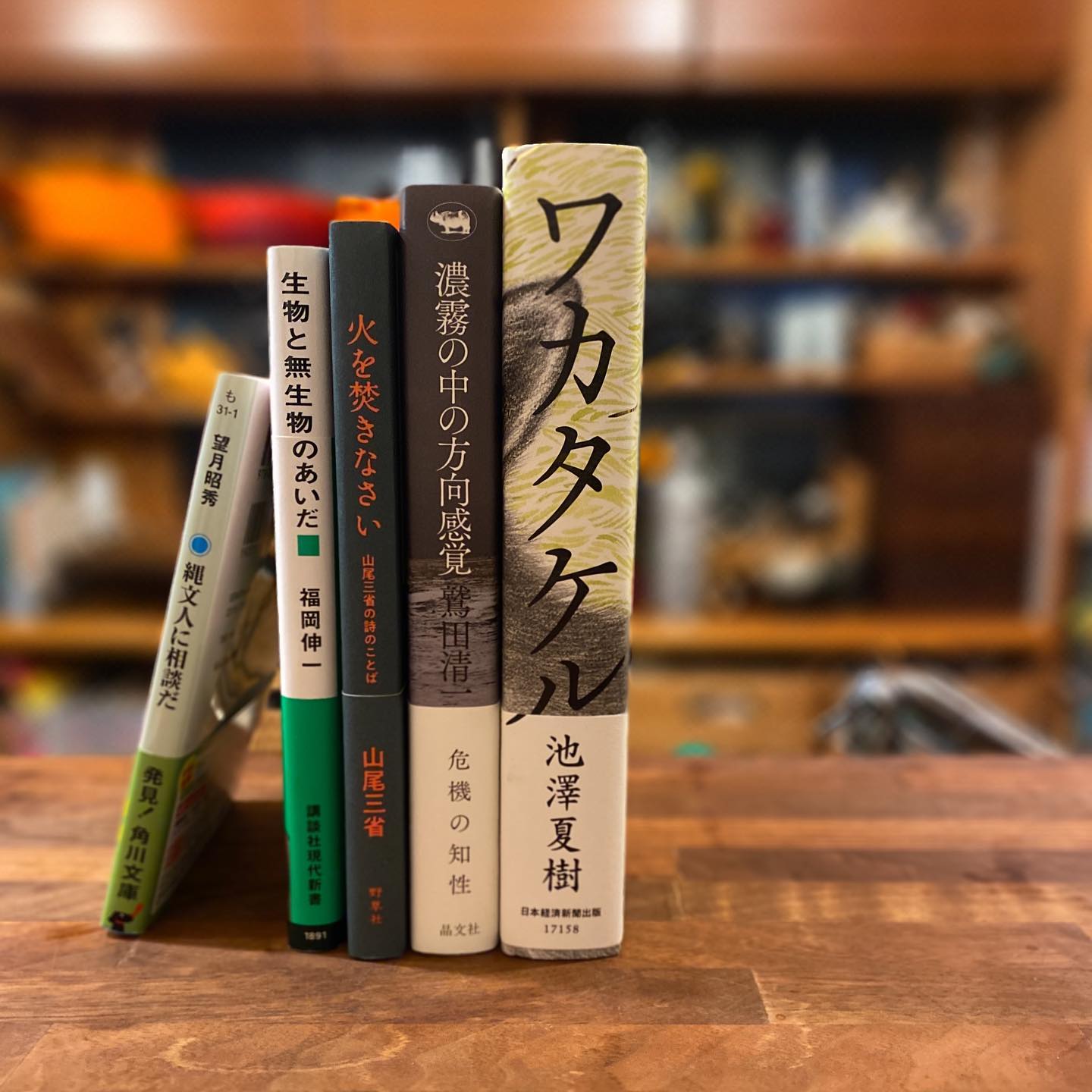 よもぎBOOKSさんに取り寄せをお願いしておいた、池澤夏樹「ワカタケル」を受け取りに…ついでにまたちょこちょこ買い物。積読でも良い、本は出会った時が買いどきだ。「本にはいくらお金を使っても良い」と母の教えを忠実に守る。
毎日料理のことばかり考えていて、料理本ばかりを読んでしまいがちだけど、たまには他のインプットを、私の脳が求めている気もする。
焦らず、ぼちぼち、いきましょう。