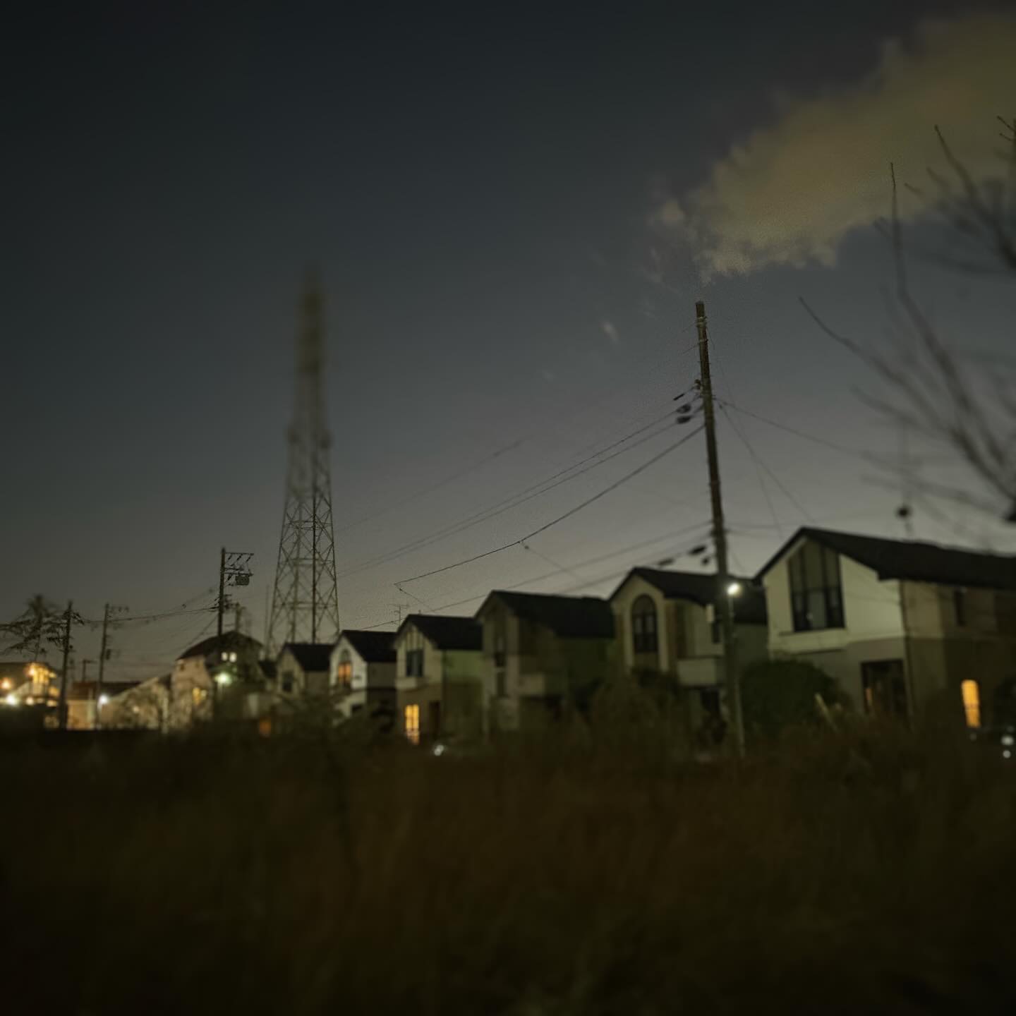家に一番近い鉄塔と、空き地。
この空き地のどこかに、獣が棲んでいると思っている。
