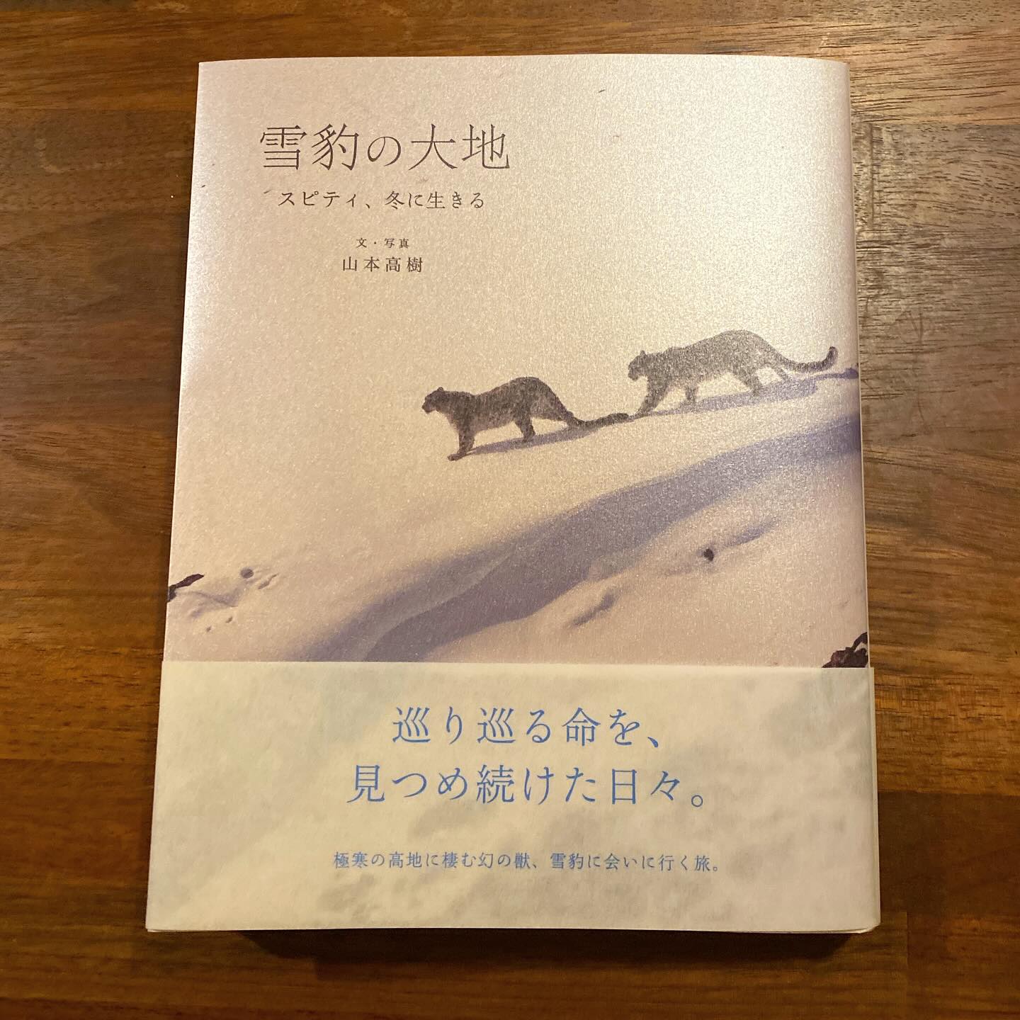 山本高樹「雪豹の大地」読了！
お客さんで友人の山ちゃんこと山本高樹氏、渾身の新刊は本人が最高傑作！というお墨付き…いや、確かに最高傑作かもしれない、好みもあると思うけど　笑
山本さんの書く本には、冒険家ではない、だからこその面白みがある。やっていることは冒険っぽいのだけど、他の雪豹撮影ツアーの人々や、コーディネーターの人たちとの交流が赤裸々に語られる様子が、なんだかすごく山本さんらしい…スピティの暮らし、数々の祭りとシャーマン、ここに暮らす人々の普段の姿…そのすぐそばにある野生動物たちの命を巡る駆け引き…山本さんにしか書けないことがここにある。大袈裟でなく、自然な目線で綴られれる、確かにそこにある命の話。
雪豹を見つめ続けることで、命に対する手触りが変わっていく。その経験をお裾分けしてもらった気持ち。
面白かった！