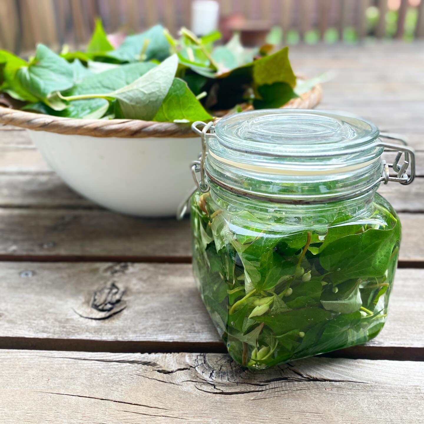 タケノコチャーハンの期間はとにかく忙しくて、定休日は最低限の家事をこなすだけで精一杯…あー、庭に雑草が生え放題なんだよな…ドクダミがいい勢いで生えてるな…あー面倒だー面倒だけどほっておくともっと面倒なことになる…そしてあれを作らねばならない…！
重い腰を上げて、庭を少し掃除し、ドクダミを採取して参りました！そして若葉と蕾部分を重点的に洗って水気を切って拭いてアルコール漬けに…そう、これがドクダミチンキというやつです。ワタシはテキトーなのでやる年もあったりやらなかったり、漬けるのも今年はちゃんとした消毒用アルコールに漬けたけど、適当な焼酎に漬けたり、ある年は日本酒に漬け込んで化粧水にしてみたり。ものすごい効果を感じるわけでもないけど、悪くはないんだよなー。
ということで雑草駆除的ドクダミ仕事。たくさんとったのでザルと干しかごいっぱいに葉を干して、さあどうしよう。ドクダミ茶挑戦するか。チンキを大量に作っておくか。