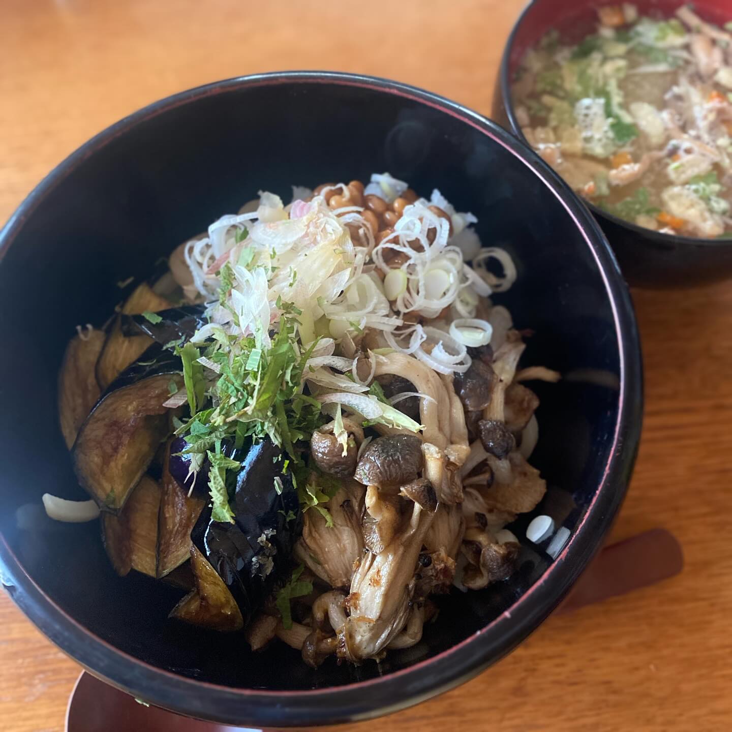 さっぱりしたうどんが食べたくなって、しかし野菜をたくさんのっけたい…揚げナスとしめじ、大根おろしにネギ、茗荷、納豆までのせて、ニラじょうゆでいただきます。
今日は少し仕事もしますよ！