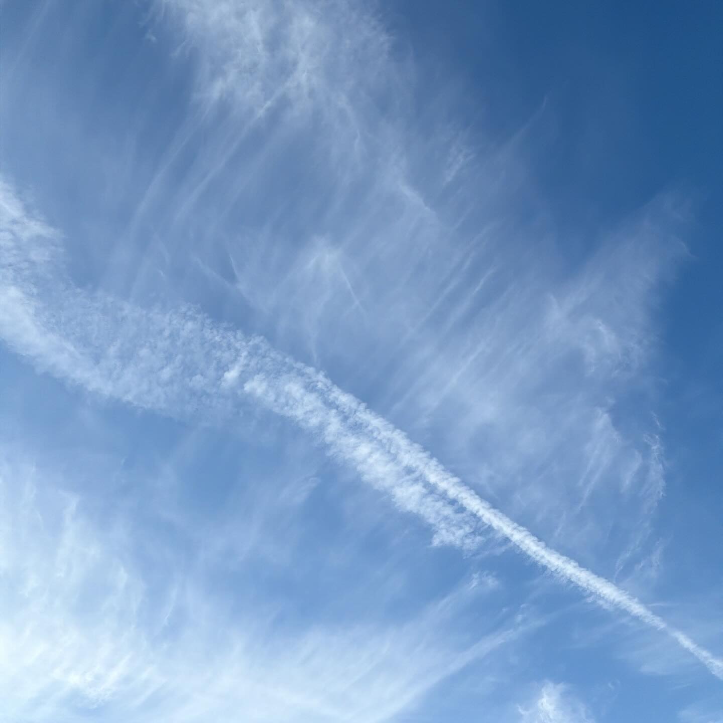 魚の骨みたいな雲だと思うのは職業病かな
ひこうき雲と風の仕業か
