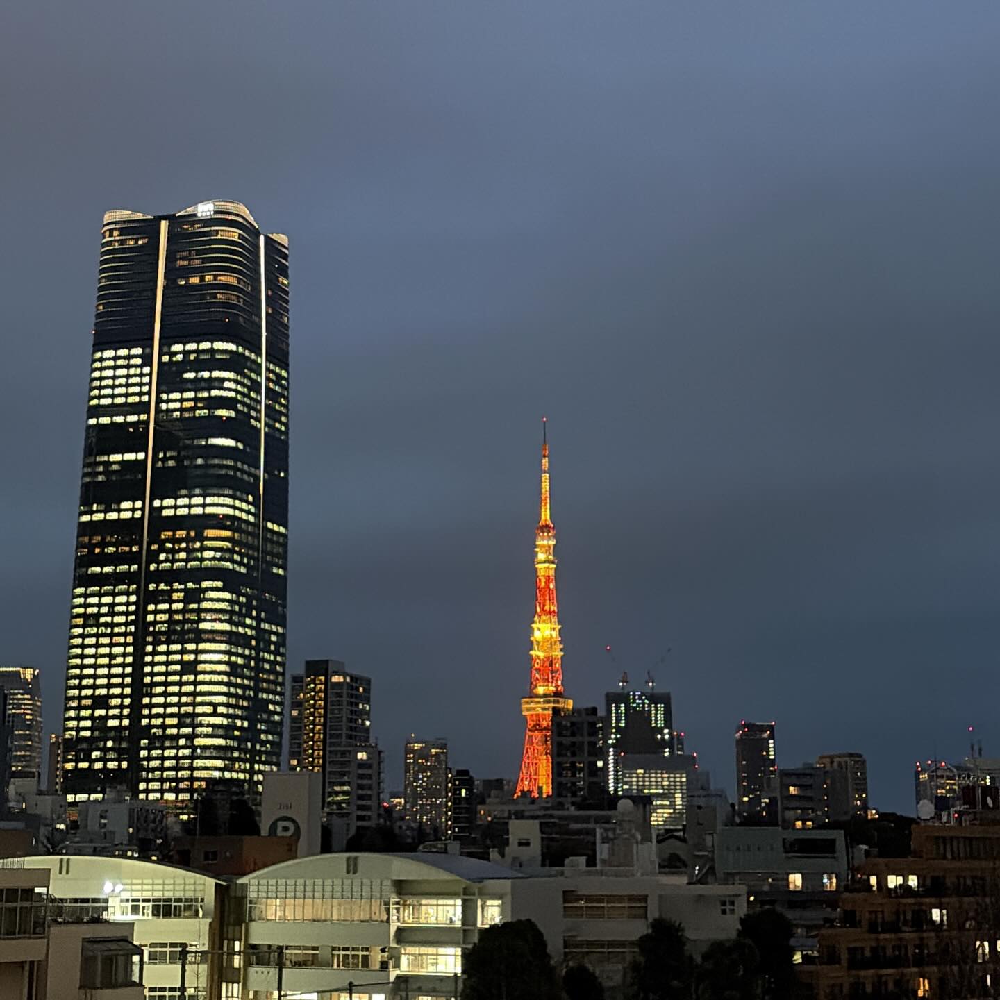 歯医者でクリーニングの後、お店の予約より早めに家を出て六本木に来たものの、お目当てのチーズ専門店は定休日と電車の中で知る…仕方なく六本木ヒルズをウロウロ。あまり心に刺さるものはない…東京タワーがなんだか心に刺さるなあ