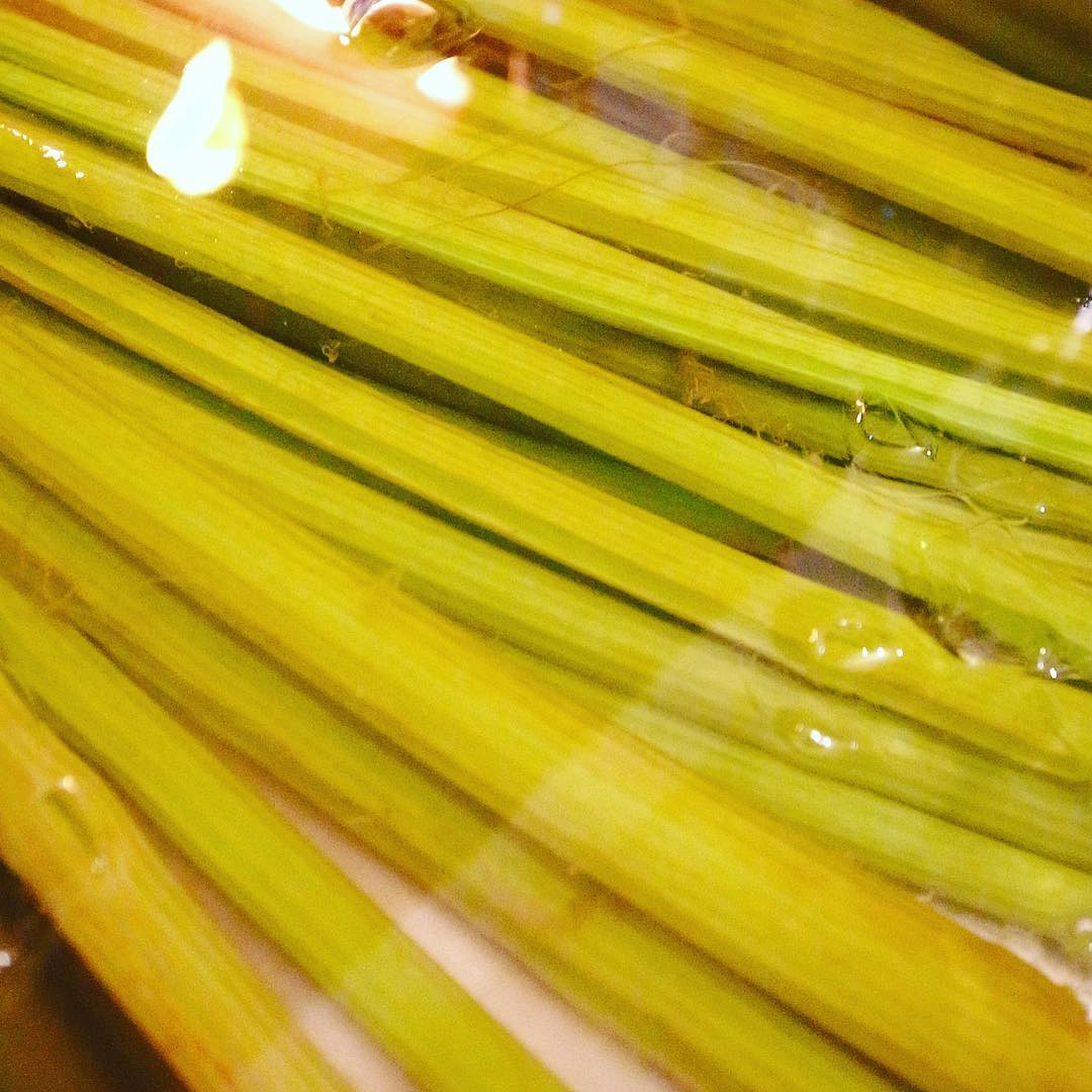 そしてみずみずしいふきの緑！（お）