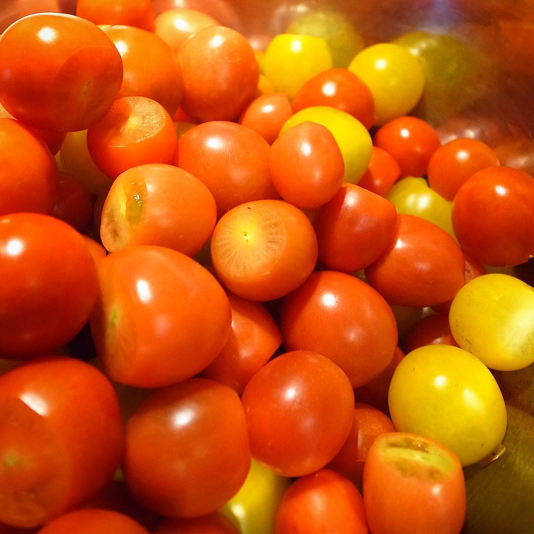 連日人気の小さなメニューは「ミニトマトのおひたし」！今日もぷりぷりころころ…これから湯むきになるところであります！（お）