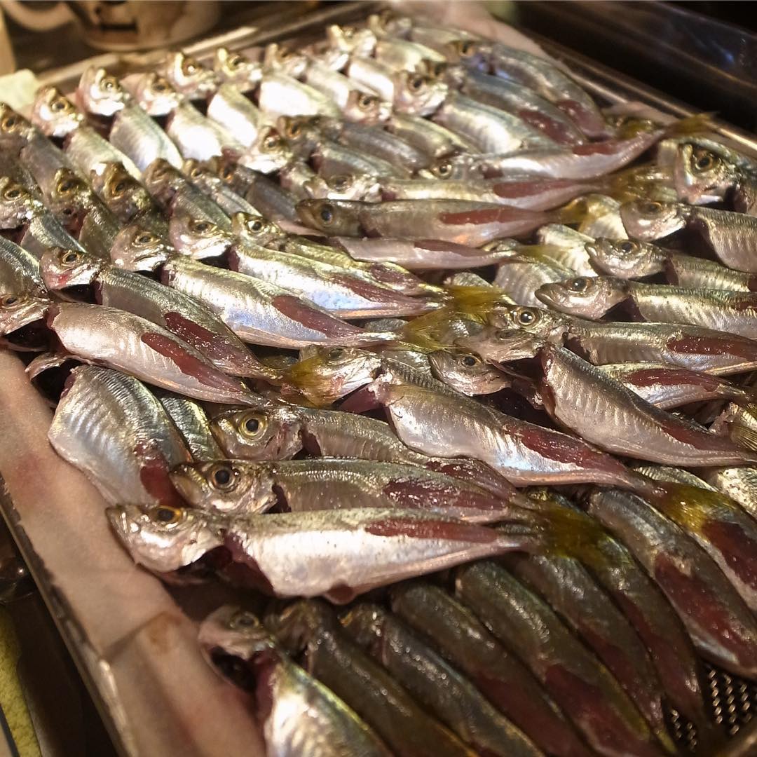 そして地味ではありますが当店的には外せない準レギュラーな前菜は南蛮漬け！今夜はピカピカの小アジでお出ししますよ！実に旨いんだよなーこれが！土曜日の夜、お席も潤沢（苦笑）ぜひ！（お）