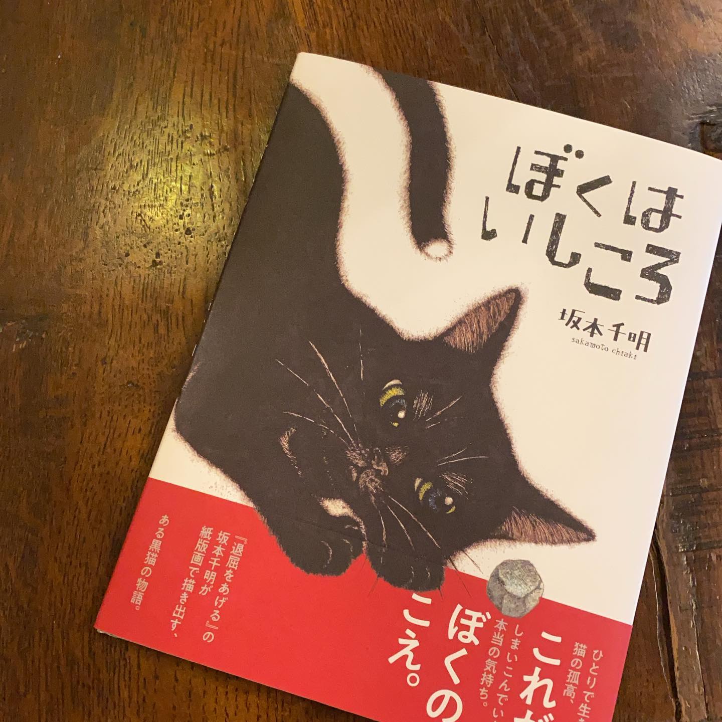 仲良しのお客さんにいただいた絵本が、衝撃的に良かった。
ぼくはいしころ＠坂本千明
（麻）